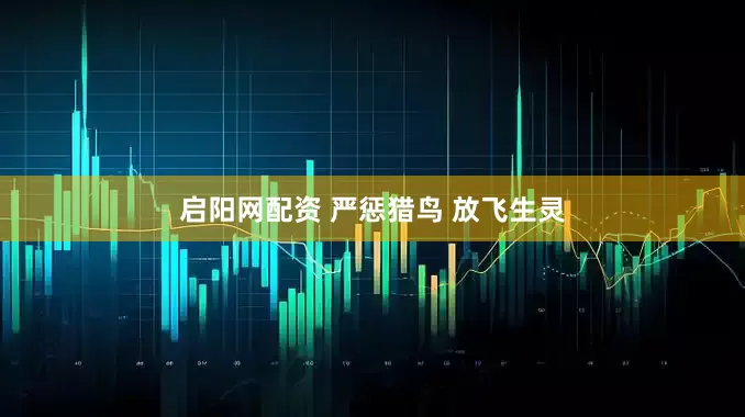 启阳网配资 严惩猎鸟 放飞生灵